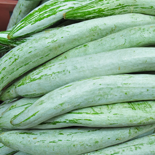 Snake Gourd